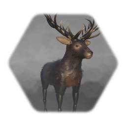 Deer / Cerf