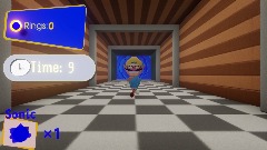 Sonic Vs The Wario apperception