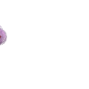 hikaruryuu