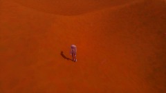 Desert survival :)
