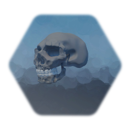 Human Skull