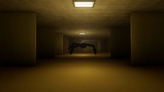 Backrooms Found Footage