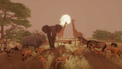 African Animal Collection