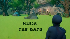 Ninja - The game [BETA]