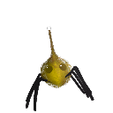 blackwi8