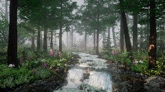 Deep Forest River