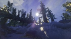 Into The Forest - Winter Scenic