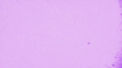 Dreamiverse Dash: Dimensional Rift