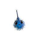 RodIoco