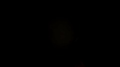 Forest as in with death beta