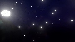 Horror in the  woods