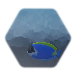 Seer Blue tang