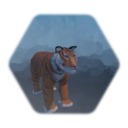 Tiger Enemy