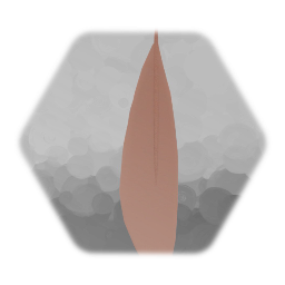 Primary wing feather