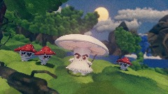 Mushrooms !