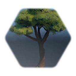 Albero Cellolese, tree