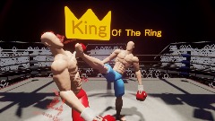 King of the Ring - Kickboxing Career Mode