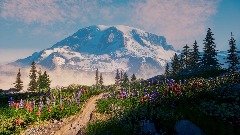 Mt Rainier Showcase