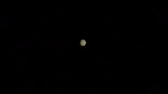 A screenshot taken in Dreams. 24 of 30.