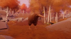 Kiwi Bird in the Fall