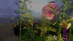 Enter the Rock Garden