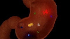 Butterflies in my Stomach