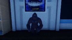 Kong in Andy's room