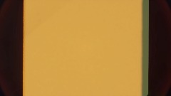 Stan's Love and some Brother fate