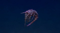 A screenshot taken in Dreams. 8 of 12.