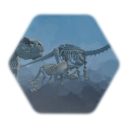 Dino Fossils