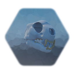Cat skull