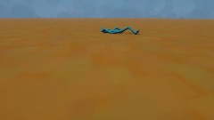 Have fun with a Ragdoll