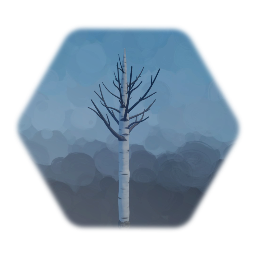 Bare Birch Tree