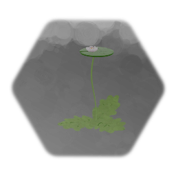 Lilly Pad - 5/28/2020