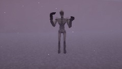 PS1 Graphics Test Fps