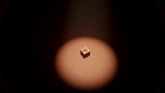 The Button