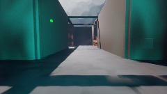 Finite Spaghetti Insurance