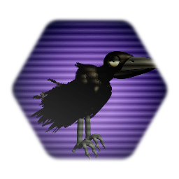 Raven