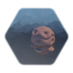 coral - Koralle - plant or animal?