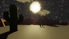 NightDesert