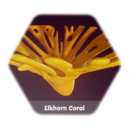 Elkhorn Coral