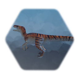 1997 Male Raptor (Tiger)