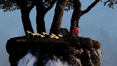 @Eliscore's sky island but realistic V2