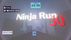 Ninja Run 30 First Person ver.