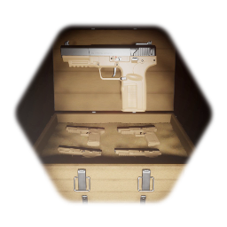 <term>FN FIVE SEVEN Versions/Skins