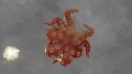 Visualization, Somnavigation