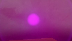 A screenshot taken in Dreams. 5 of 9.