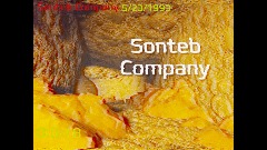Sonteb Company (Horror)
