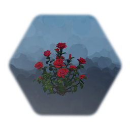 Rose Bush