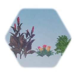 Tropical Landscape Collection